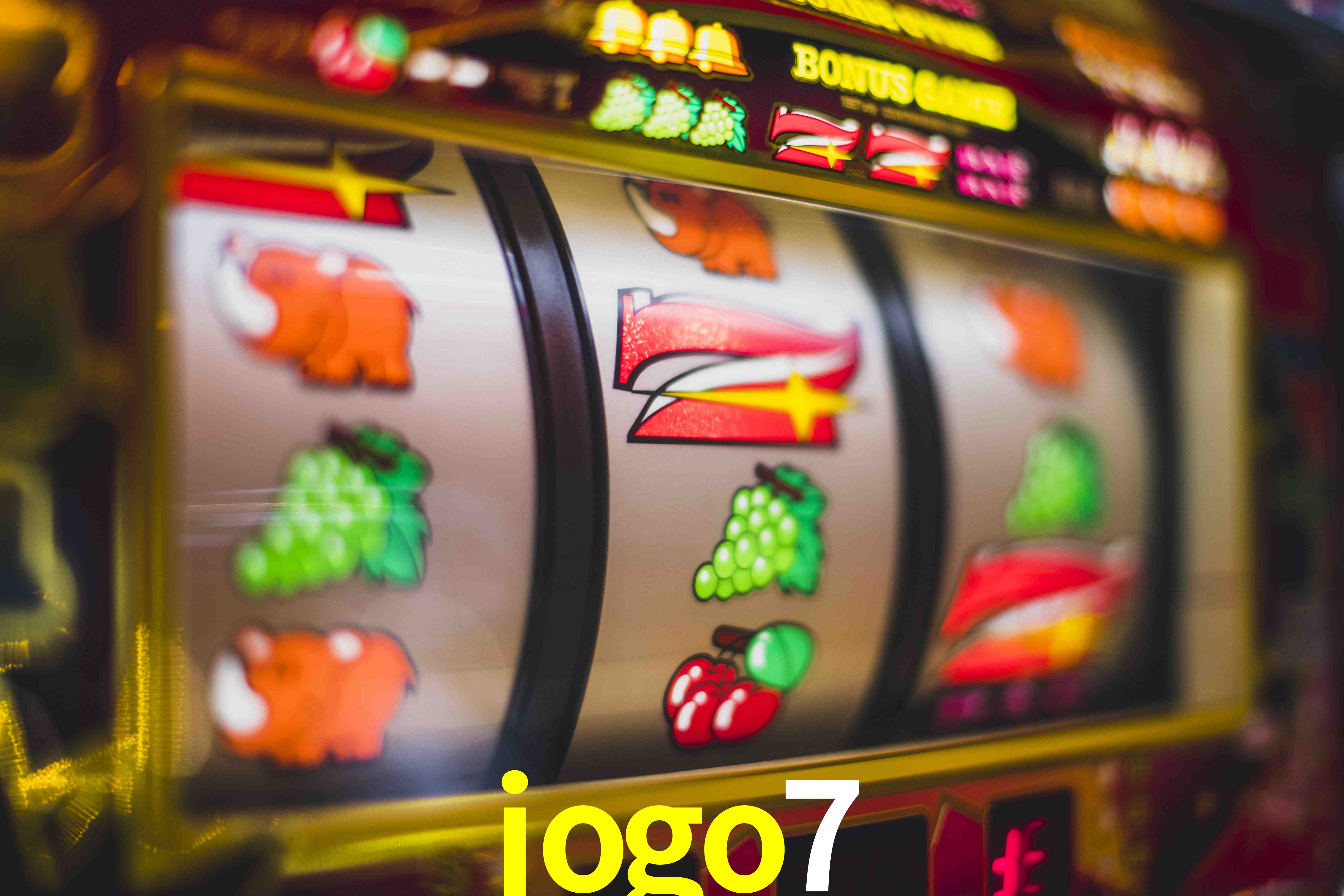 Live Casino jogo7